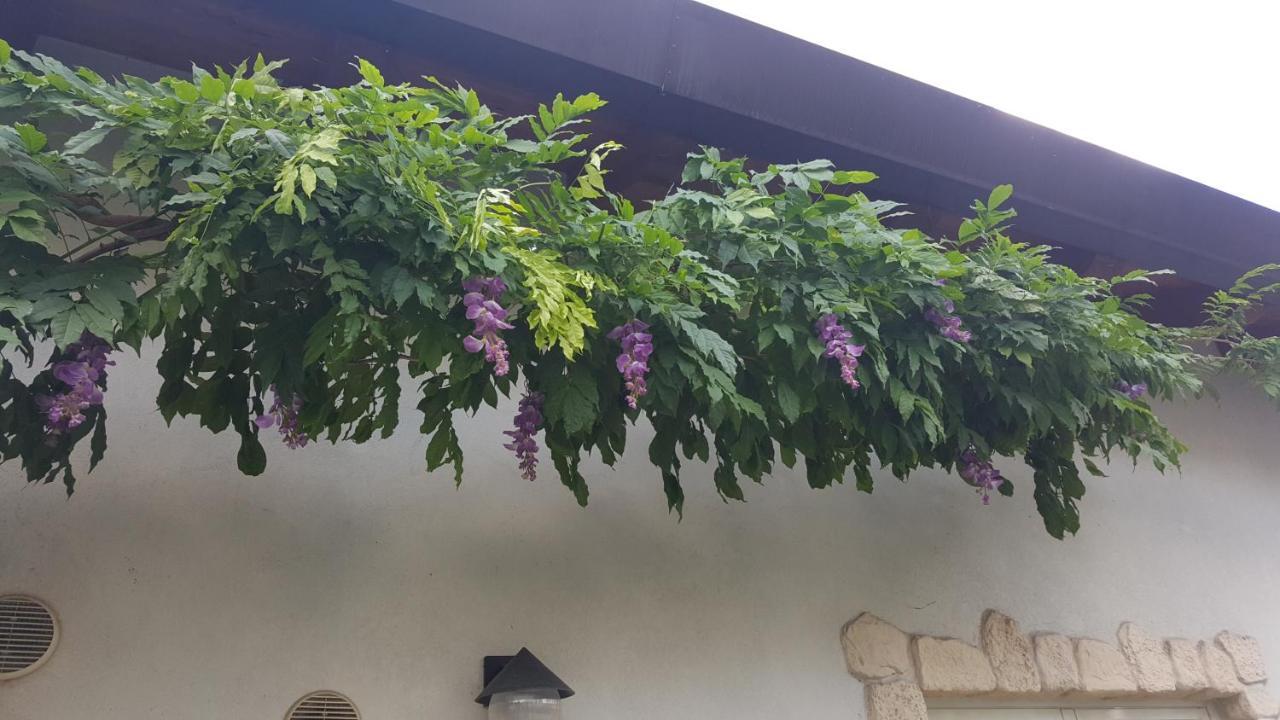 Casa Yami Hotel Padova Exterior photo